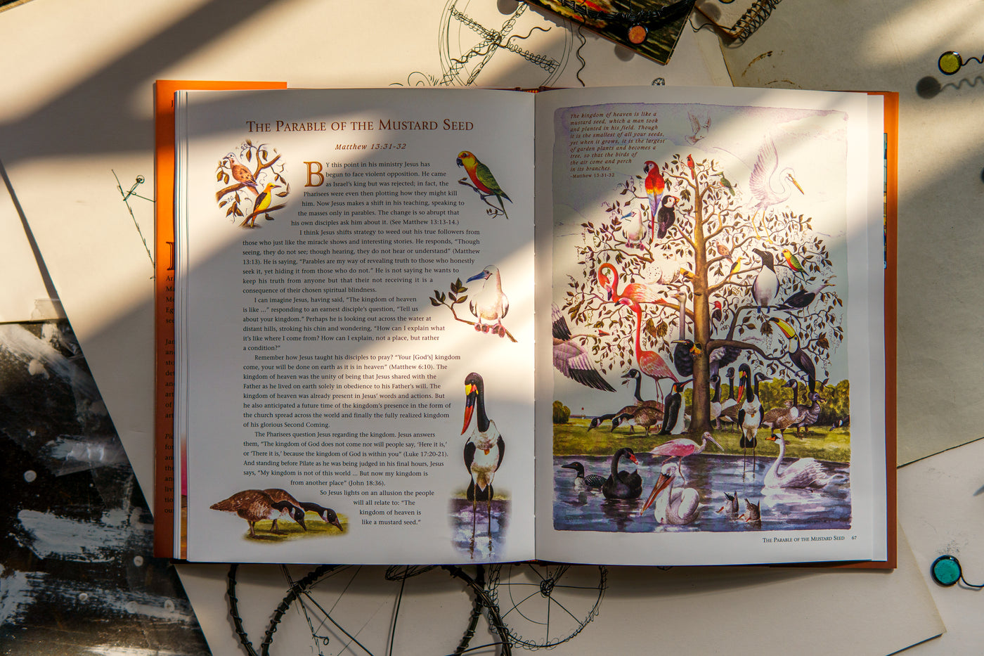 Jim's Grandiose Big Bible Picture Book