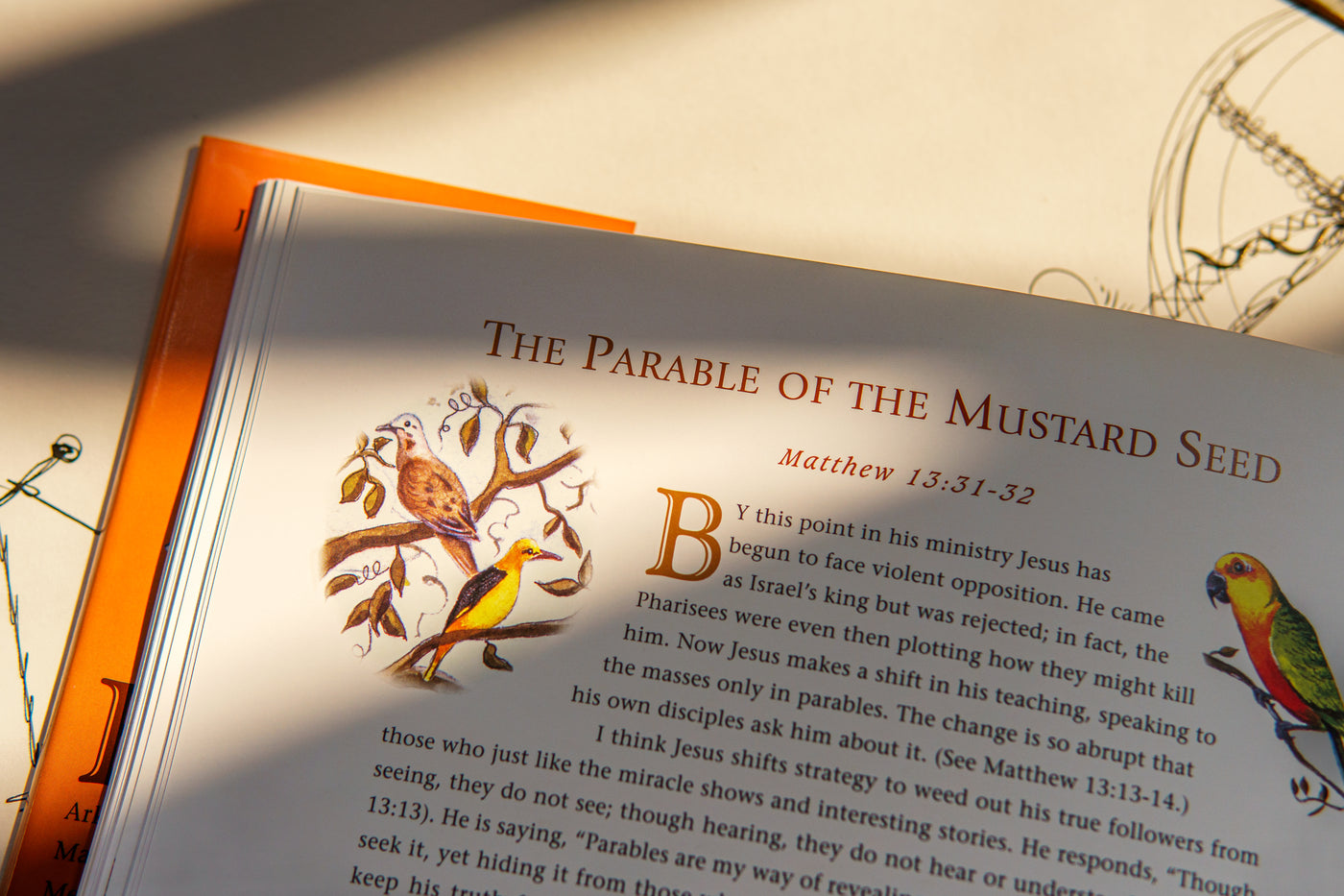 Jim's Grandiose Big Bible Picture Book
