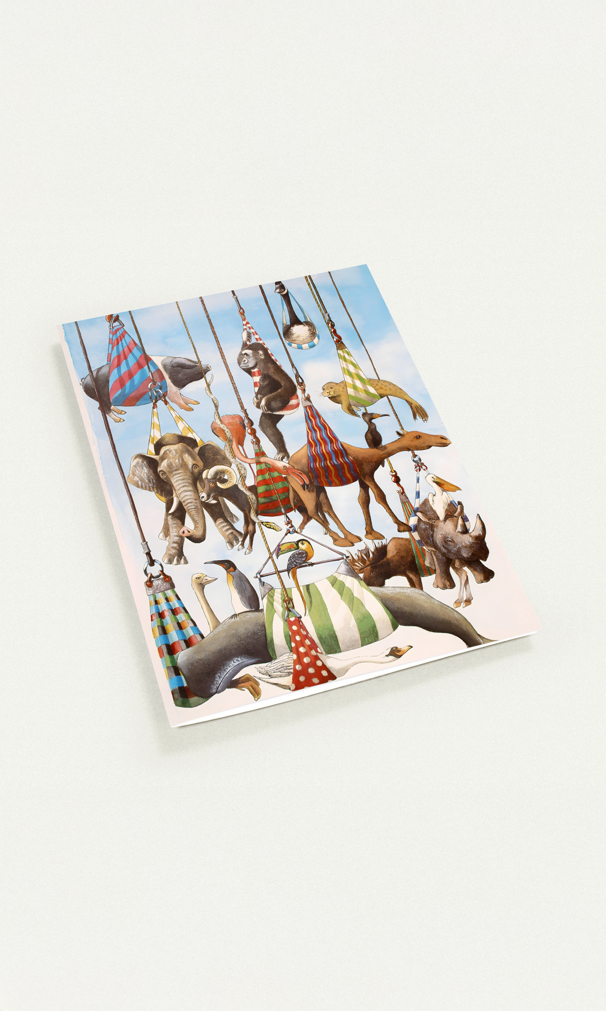 Peter's Vision Greeting Cards — Pack of 10